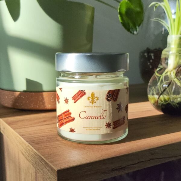 Bougie parfumée à la cannelle posée sur un meuble en bois, éclairée par la lumière du soleil, entourée de plantes décoratives.