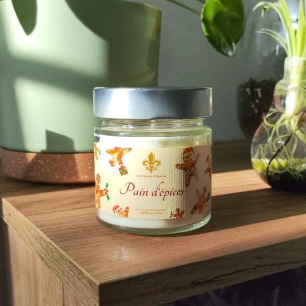 Bougie parfumée Pain d'épices posée sur un meuble en bois, éclairée par la lumière du soleil, entourée de plantes décoratives.