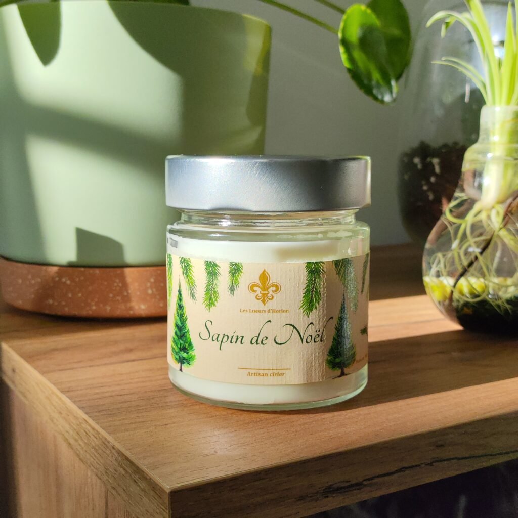 Bougie parfumée Sapin de Noël posée sur un meuble en bois, éclairée par la lumière du soleil, entourée de plantes décoratives.