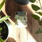 Bougie artisanale Fruit de la passion Les Lueurs d’Horion posée sur un sol en bois, entourée de plantes vertes, éclairée par la lumière naturelle.