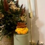 Poussin chapeau cow boy