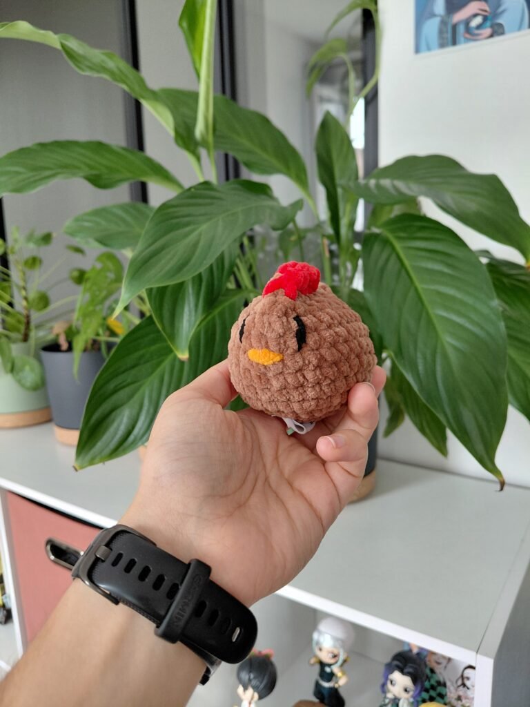 poule-crochet