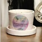 Bougie La petite robe noire