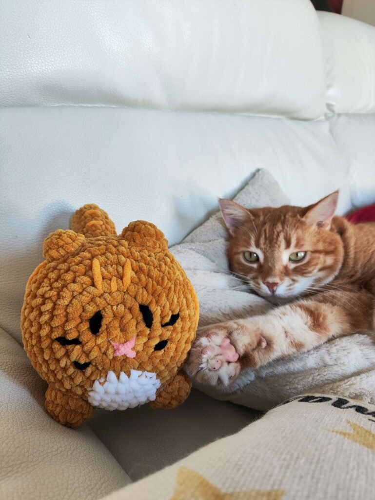 chat-crochet