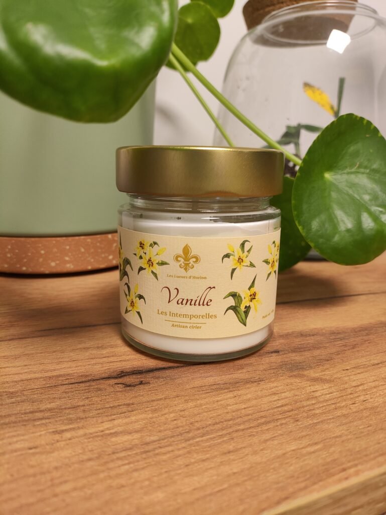 Bougie à la Vanille Les Lueurs d'Horion sur bois, avec plante verte et terrarium en arrière-plan.