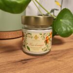 Bougie artisanale Fleur d'oranger Les Lueurs d'Horion dans un bocal en verre sur un meuble en bois à côté d'une plante verte.