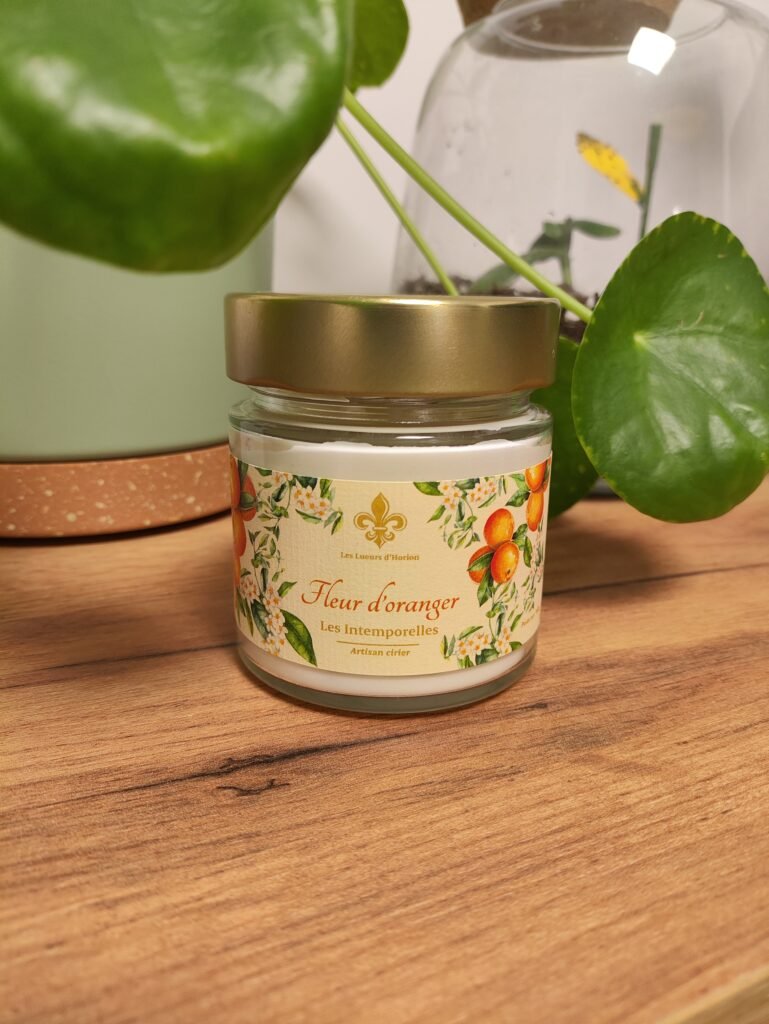 Bougie artisanale Fleur d'oranger Les Lueurs d'Horion dans un bocal en verre sur un meuble en bois à côté d'une plante verte.
