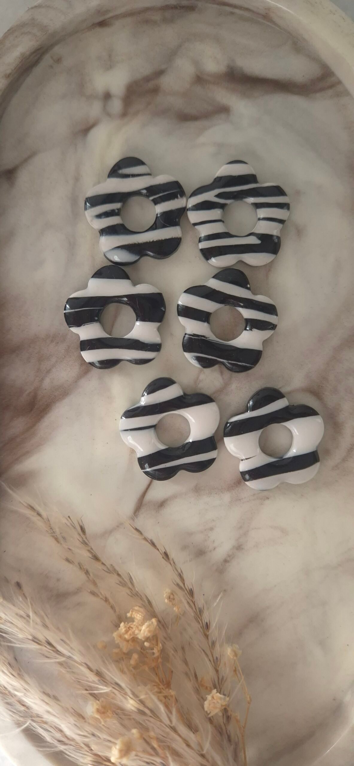 20260305_094112 PAMPILLES ZÉBRÉES ✨ – Image 1