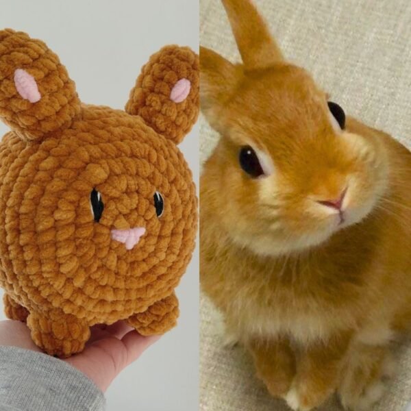 lapin-personnalise