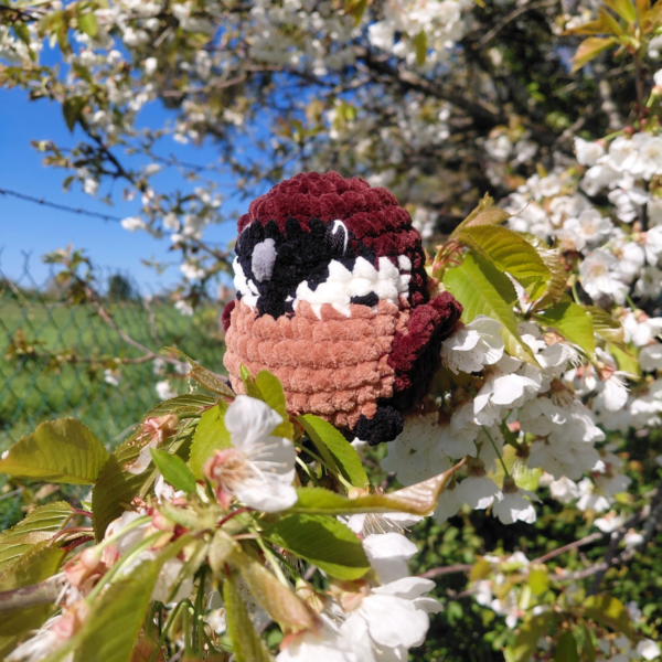 moineau
