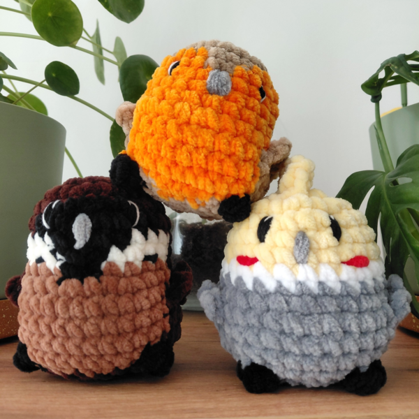pack oiseaux